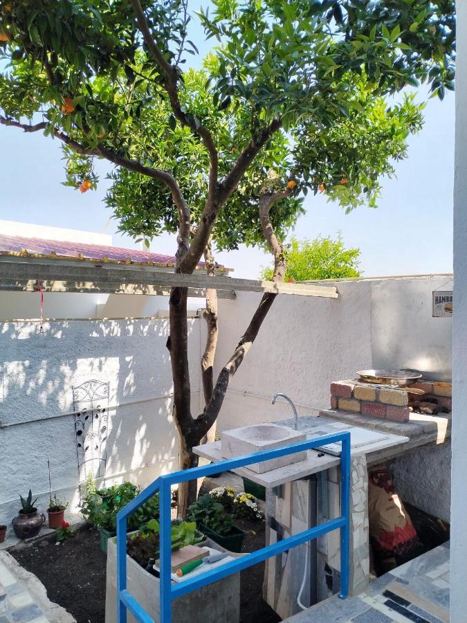 Casa Da Laranjeira Apartment Montargil Exterior photo